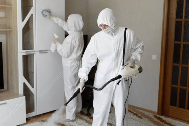 24/7 Emergency Odor Removal experts in Roseville, CA