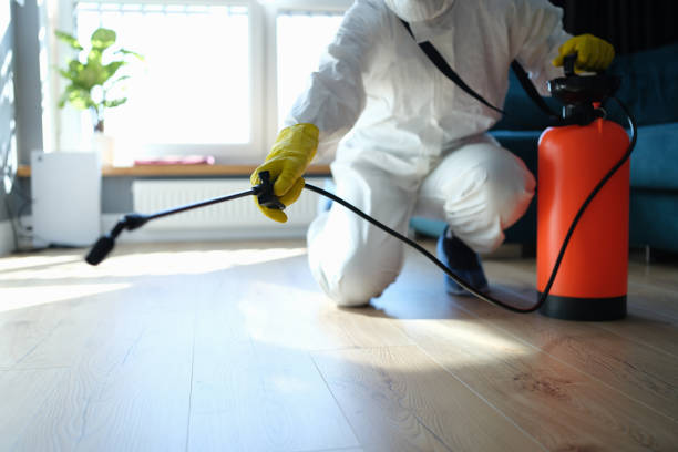 Reliable Odor Removal contractor in Roseville, CA by Trauma Clean Pros